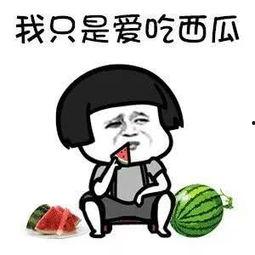 搞笑娱乐圈吃瓜,吃瓜群众笑翻天